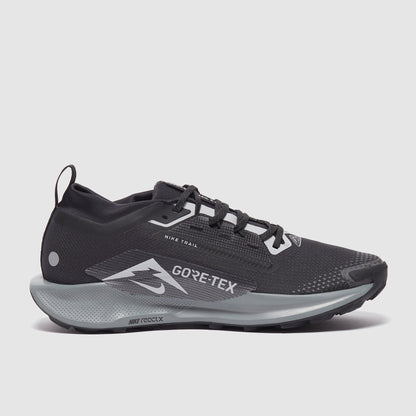Nike Pegasus Trail 5 GORE-TEX