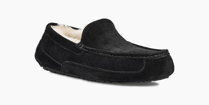 Ascot Suede Sneakers - Premium Brand Shoes for Men and Women