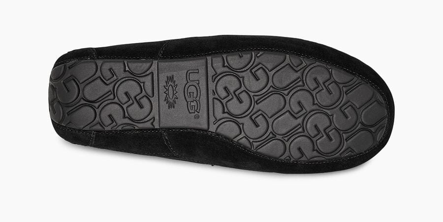 Ascot Suede Sneakers - Premium Brand Shoes for Men and Women