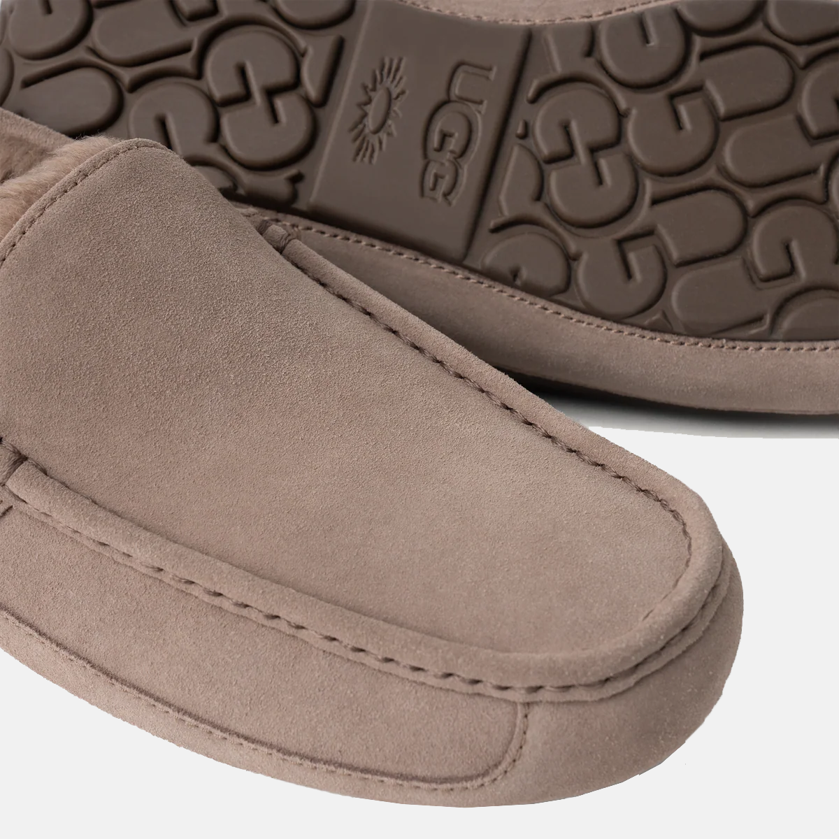Ascot Suede Sneakers - Premium Brand Shoes for Men and Women