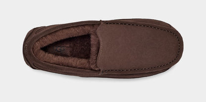 Ascot Suede Sneakers - Premium Brand Shoes for Men and Women