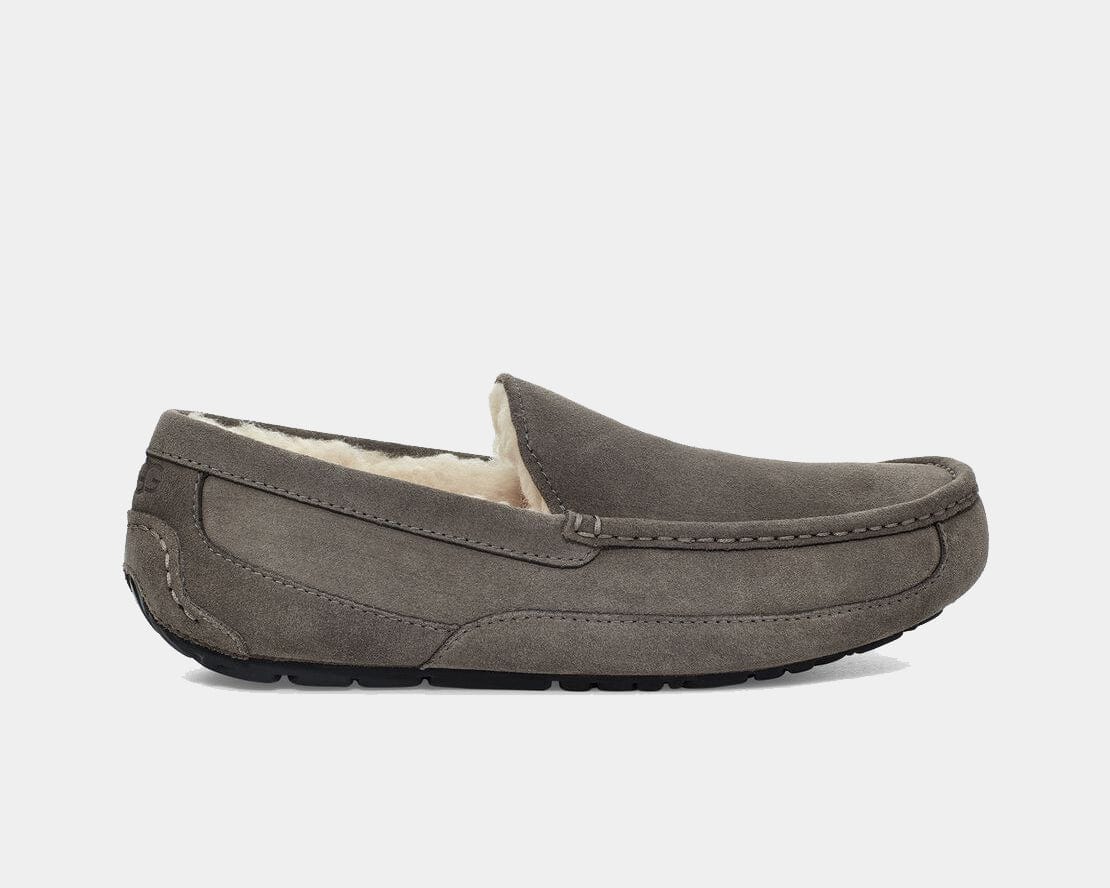 Ascot Suede Sneakers - Premium Brand Shoes for Men and Women
