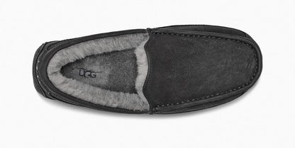 Ascot Matte Leather Sneakers - Premium Brand Shoes for Men and Women