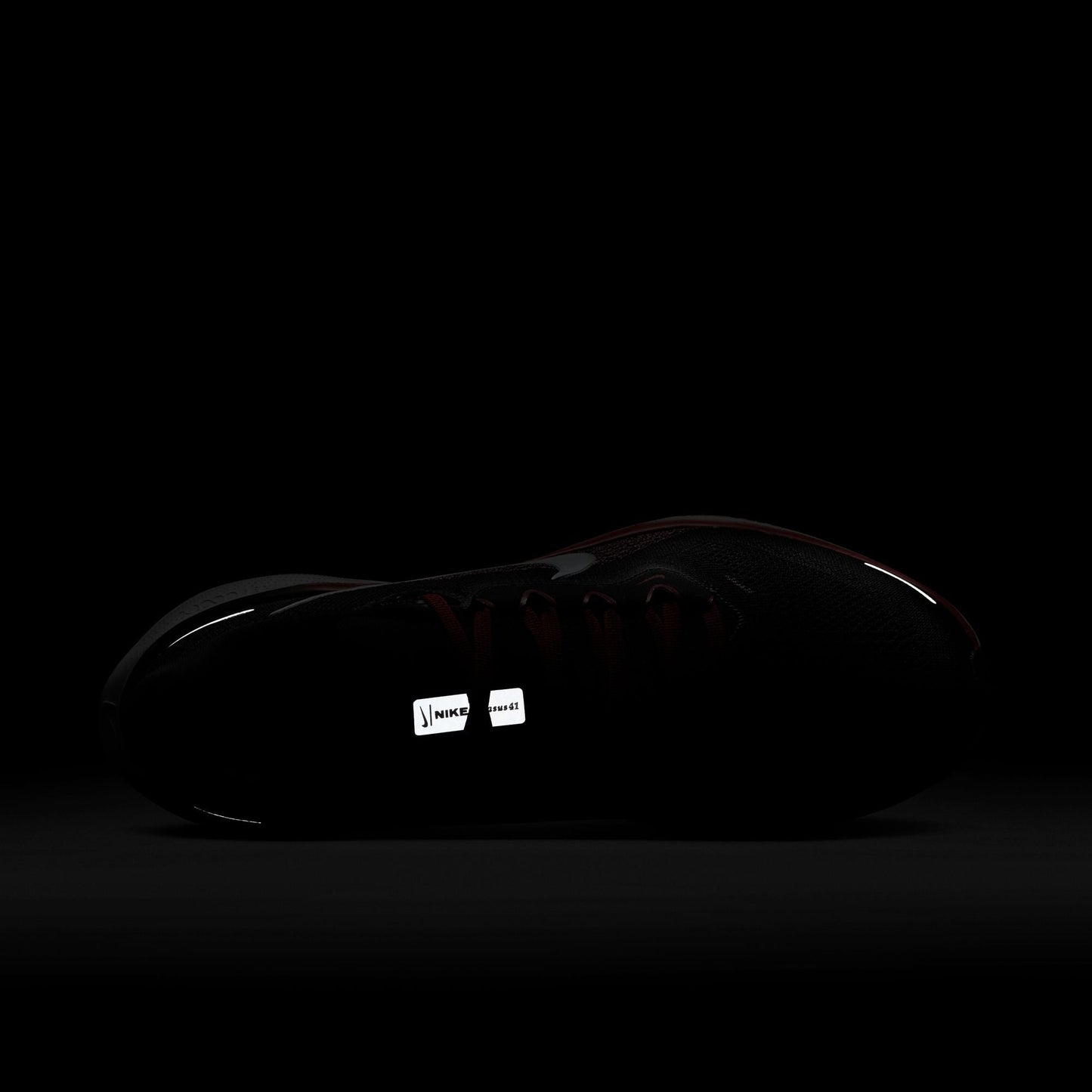 Air Zoom Pegasus 41 Sneakers - Premium Brand Shoes for Men and Women