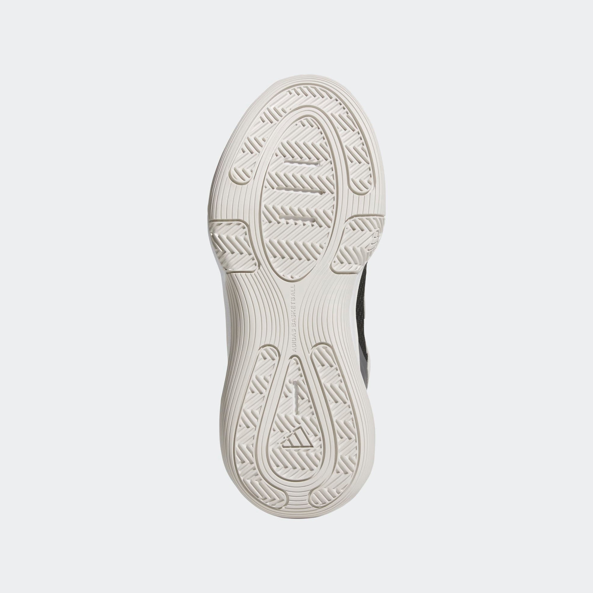 Basketball Legends Low Sneakers - Premium Brand Shoes for Men and Women