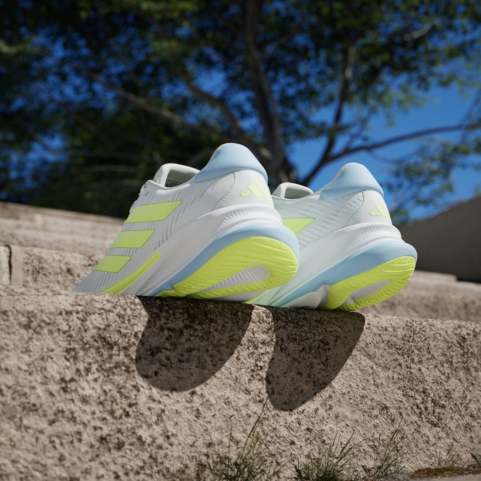 Supernova Ease Sneakers - Premium Brand Shoes for Men and Women